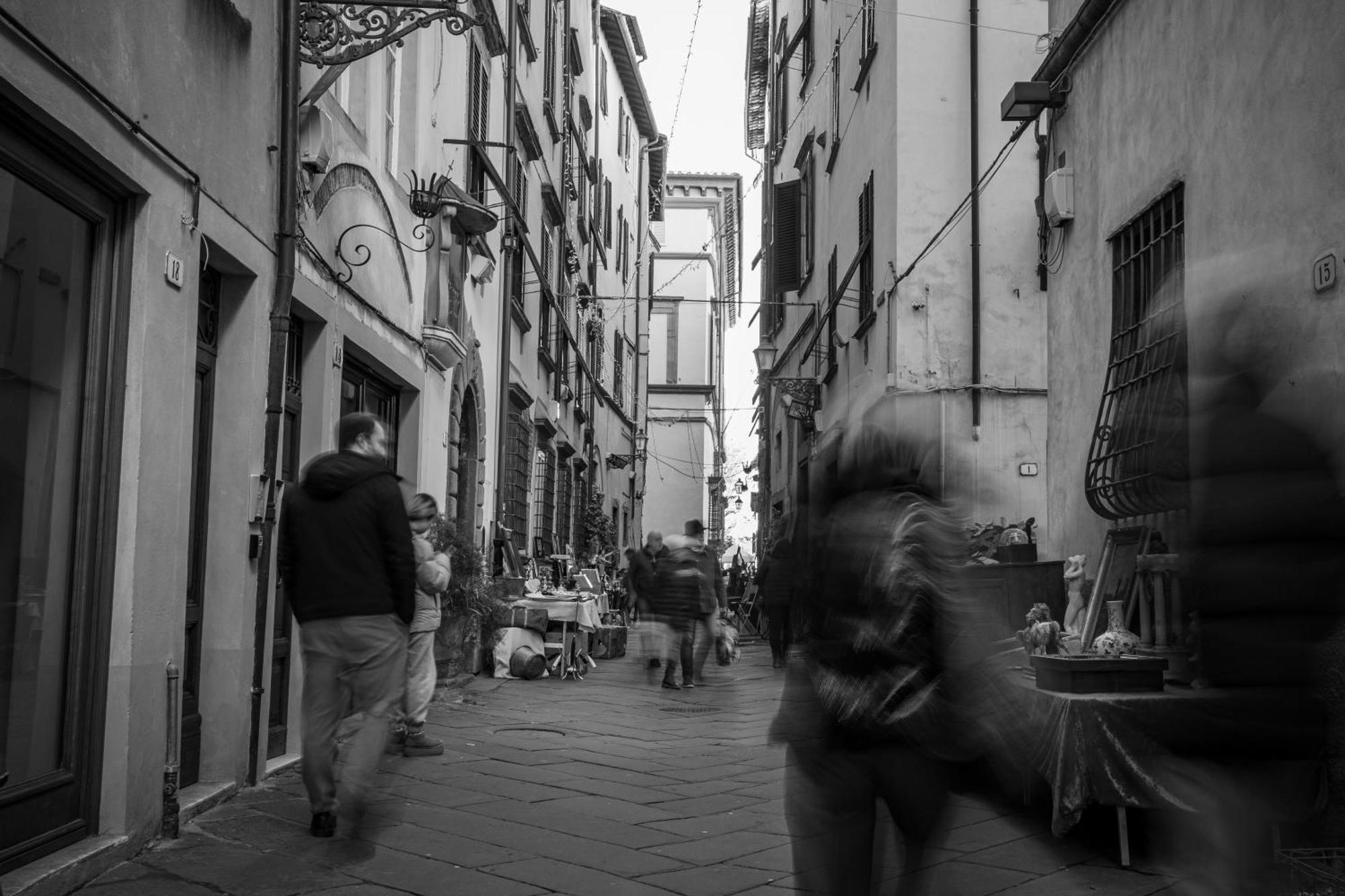 Apartamento Bilocale Economico, In Pieno Centro A Lucca Exterior foto